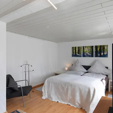 Alte Schaeferei Apartament